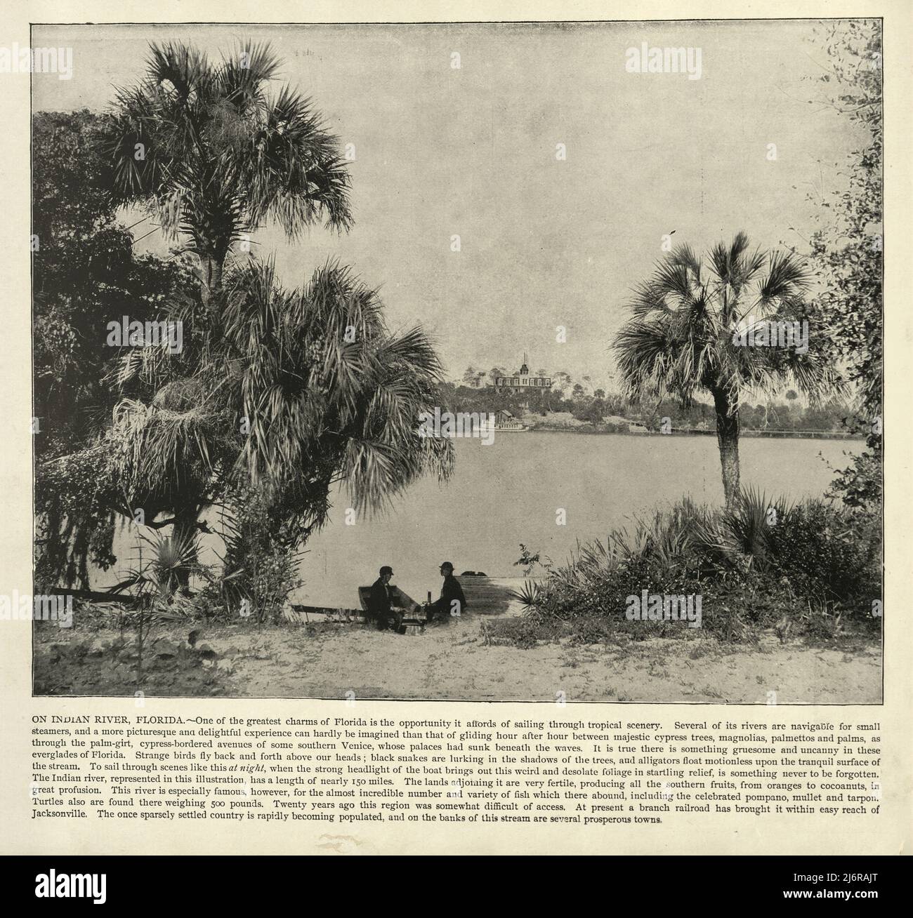 Antikes Foto von On the Indian River, Florida, USA 19.. Jahrhundert Stockfoto