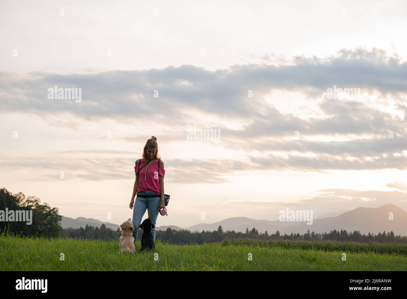 Hundetrainerin lehrt zwei Hunde, die vor ihrem Gehorsam draußen auf einer schönen grünen Wiese sitzen. Stockfoto
