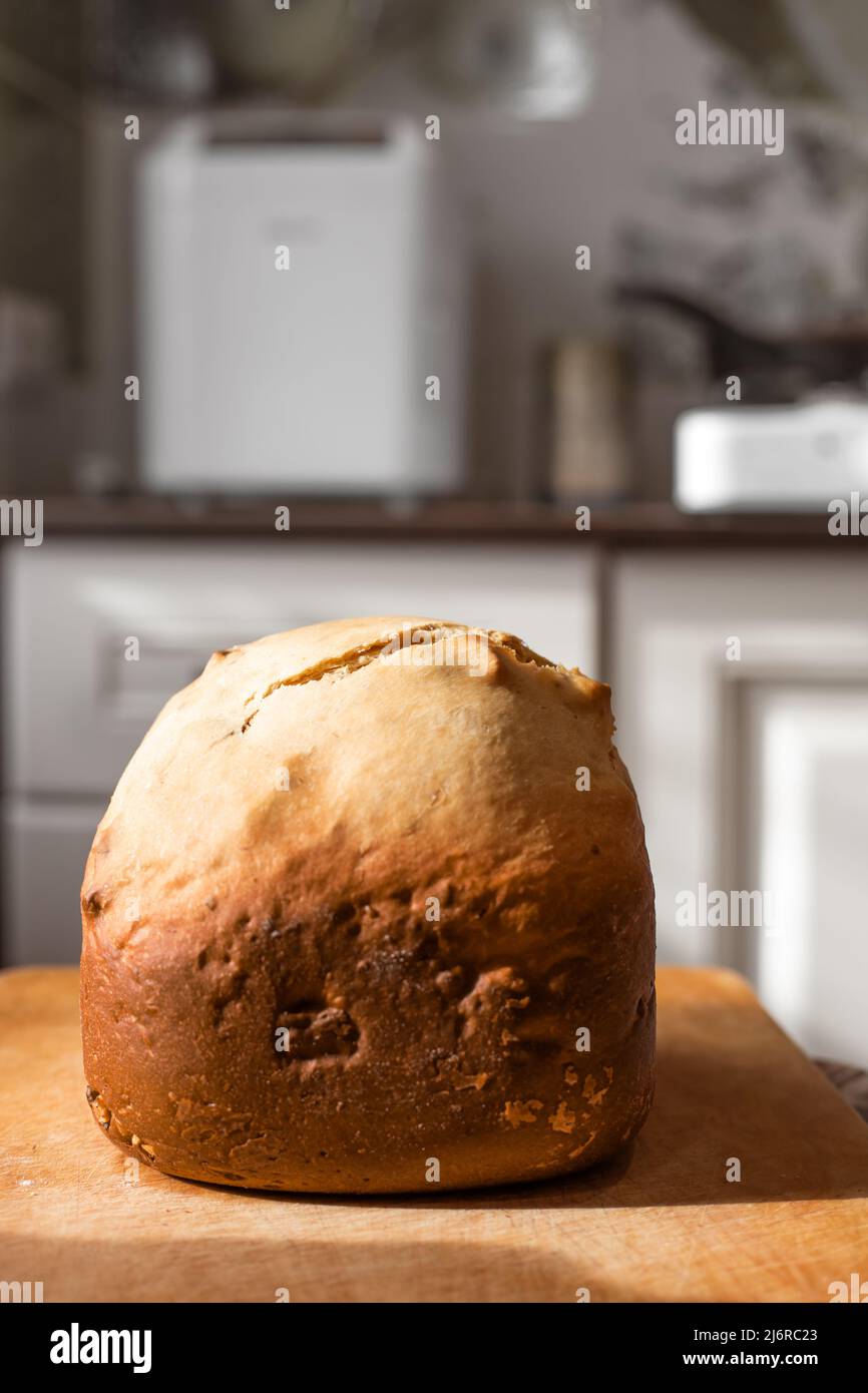 Ein Laib frisches, flauschiges, hausgemachtes Brot, das in einer Brotmaschine gebacken wird und vor dem Hintergrund der Küche von der Sonne beleuchtet wird. Stockfoto