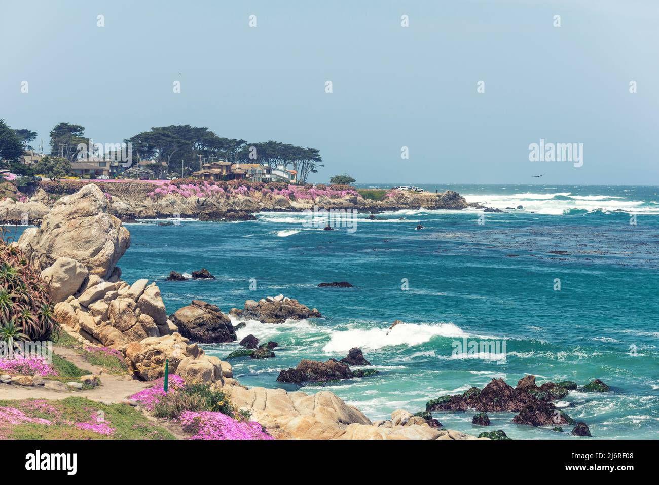 Ein Apriltag an der Küste. Pacific Grove, Kalifornien, USA. Stockfoto