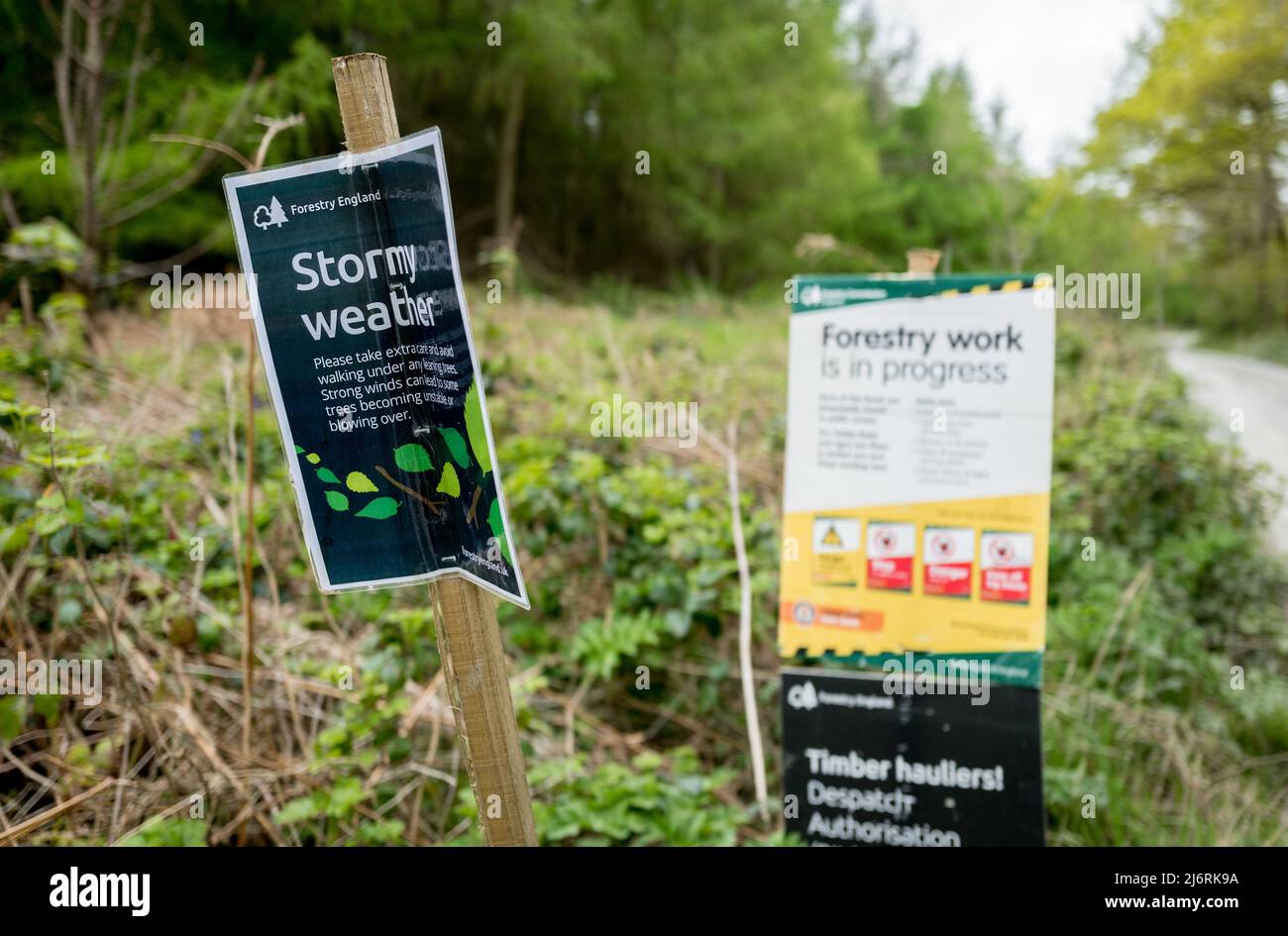 Forestry England Warnhinweis über stürmisches Wetter, der Wanderer auf  besondere Vorsicht beim Wandern im Wald hinweist Stockfotografie - Alamy
