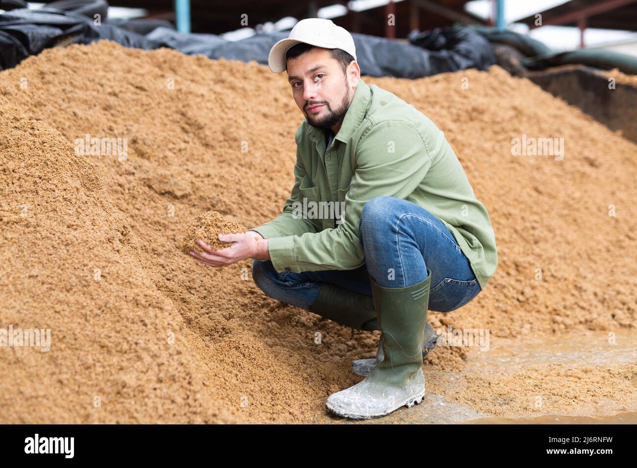 Bauer hockt auf einem großen Haufen verbrauchten Getreides der Brauerei Stockfoto