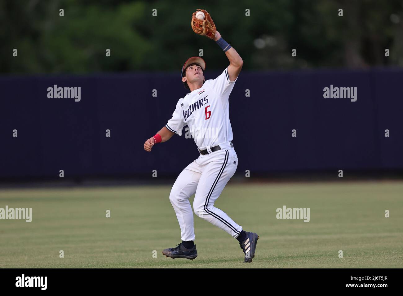 03. Mai 2022: Santi Montiel (6), Infield-Feldspieler von South Alabama, fängt während eines College-Baseballspiels zwischen den Southern Miss Golden Eagles und den South Alabama Jaguars im Stanky Field in Mobile, Alabama, einen Infield-Fliegenball. Bobby McDuffie/CSM Stockfoto