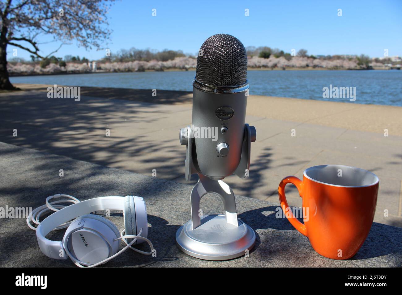 Mikrofon Podcast Aufnahme Kaffee Kopfhörer Cherry Blossoms DC Stockfoto