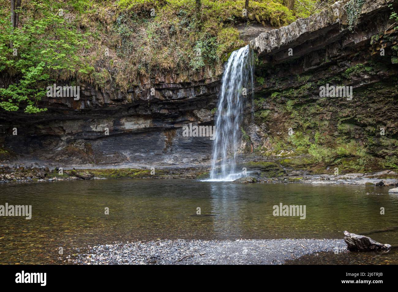 Der Wasserfall Sgwd Gwladys (Lady Falls) am Fluss Afon Pyrddin bei Pontneddfechan im Brecon Beacons National Park, Wales. Stockfoto