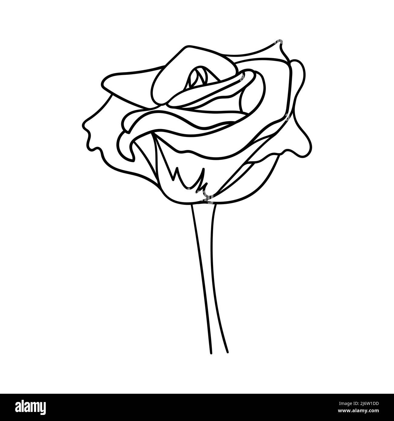 Eine blühende Rosenknospe. Blume mit Blütenblättern und Stiel. Dekoratives Designelement zum Valentinstag. Eine einfache Illustration ist von Hand gezeichnet und auf einem isoliert Stock Vektor