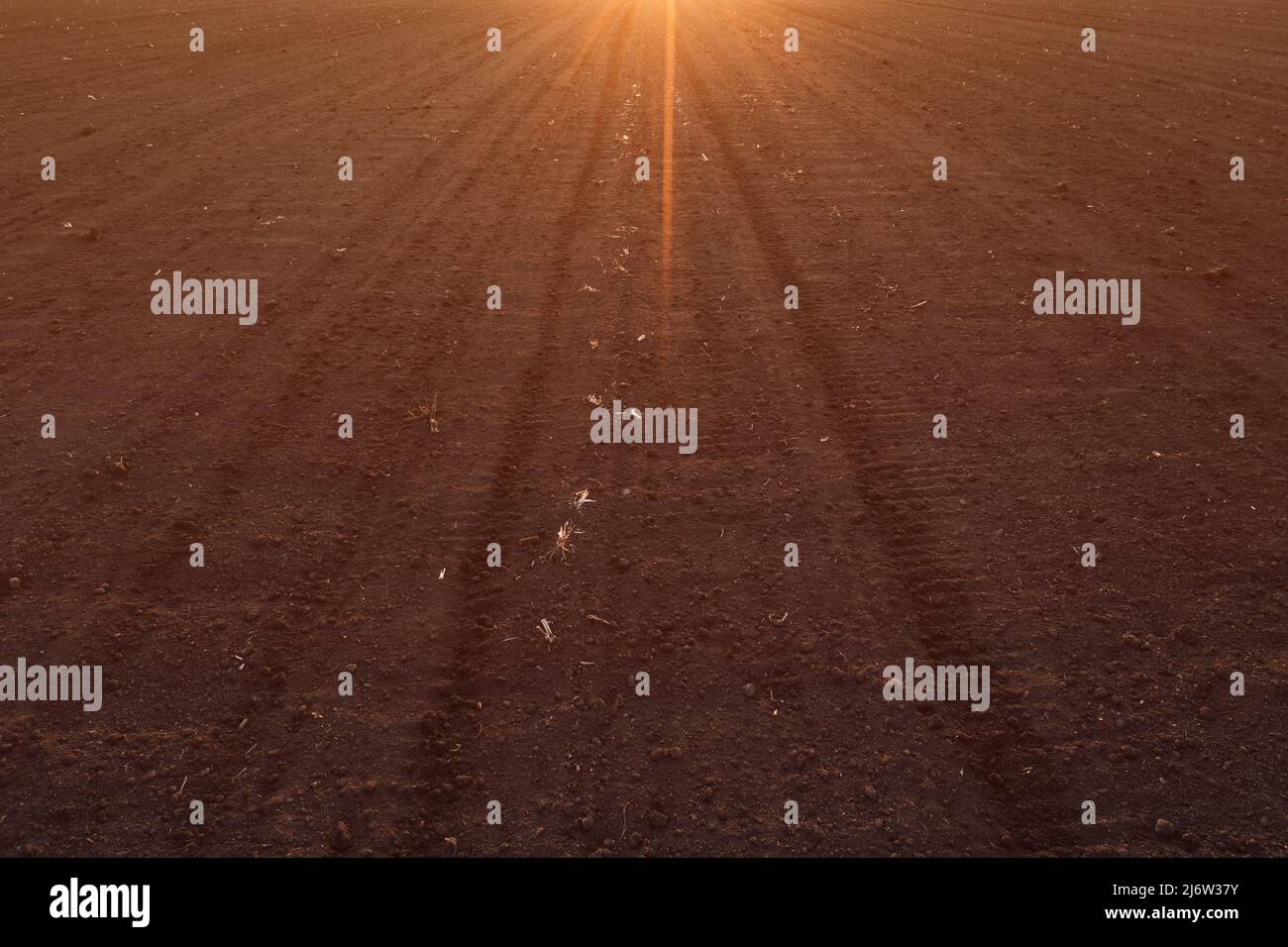 Luftaufnahme des gebepflügten Feldes im Sonnenuntergang von Drohne pov Stockfoto