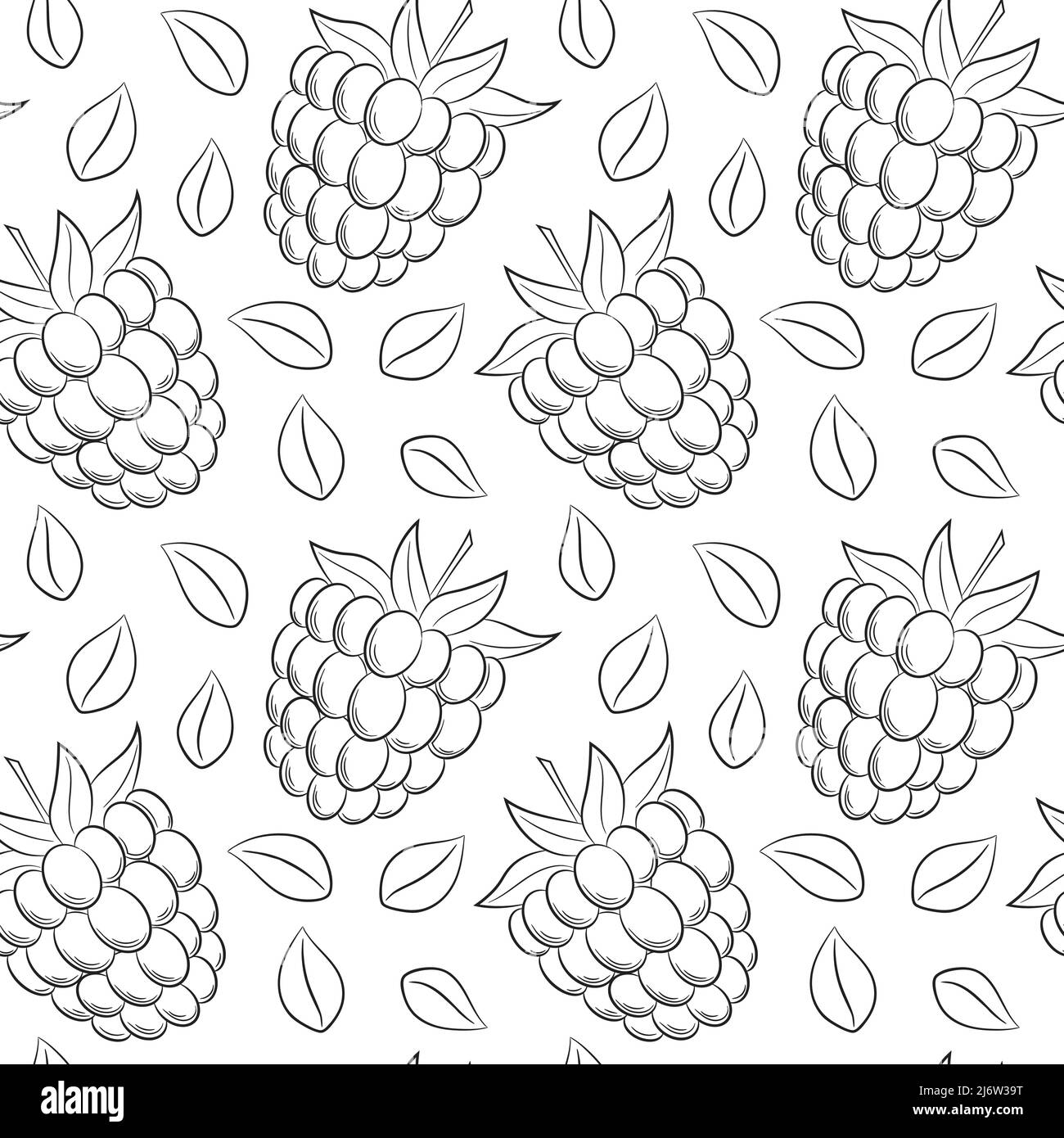 Nahtloses Muster mit Himbeeren und Blättern. Einfache schwarz-weiße, handgezeichnete lineare Elemente werden auf einem transparenten Hintergrund isoliert. Für die Desi Stock Vektor