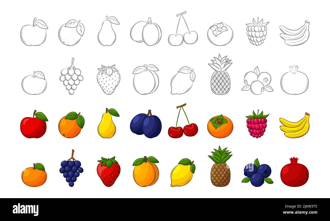 Eine Reihe von Früchten. Schwarz-weiße lineare Elemente und farbige mit Umriss. Sammlung von Früchten und Beeren für Lebensmittelverpackungen Design. Isolieren Stock Vektor