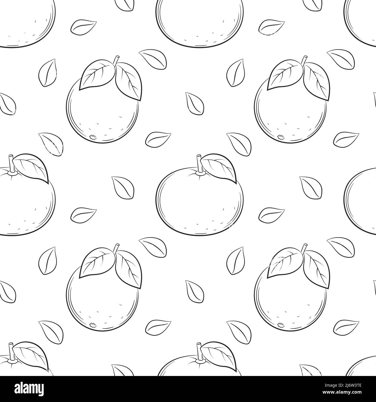 Nahtloses Muster mit Orangen und Mandarinen. Von Hand gezeichnete lineare Elemente in Schwarz und Weiß werden auf einem transparenten Hintergrund isoliert. Für das Design von k Stock Vektor