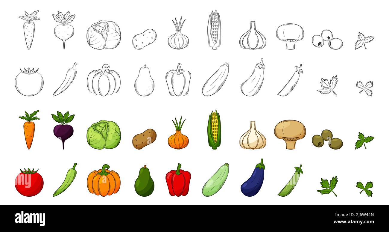 Eine Reihe von Gemüse. Schwarz-weiße lineare Elemente und farbige mit Umriss. Eine Sammlung von Wurzelgemüse, Pilzen und Gemüse für die Nahrung Stock Vektor