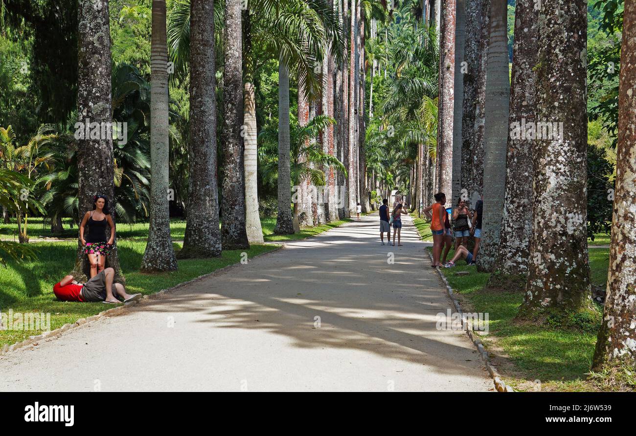 RIO DE JANEIRO, BRASILIEN - 02. JANUAR 2014: Menschen genießen den Tag im Botanischen Garten von Rio Stockfoto