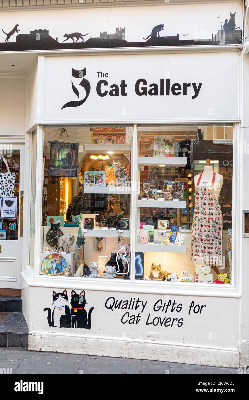 Der Cat Gallery Geschenkladen für Katzenliebhaber in der Stadt York, Yorkshire, England Stockfoto