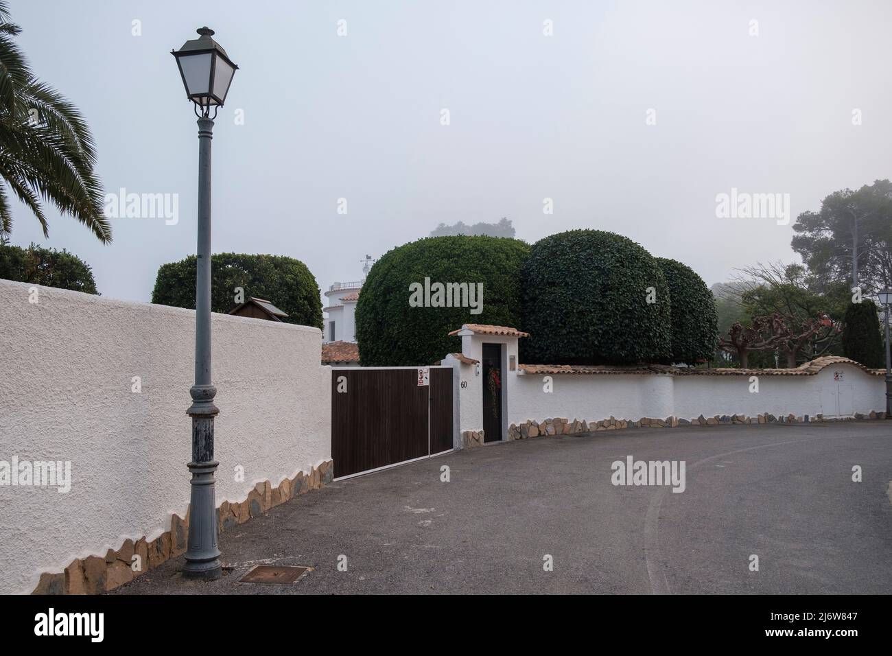 Landschaftsbäume im Garten in Altea, Provinz Alicante, Spanien. Stockfoto