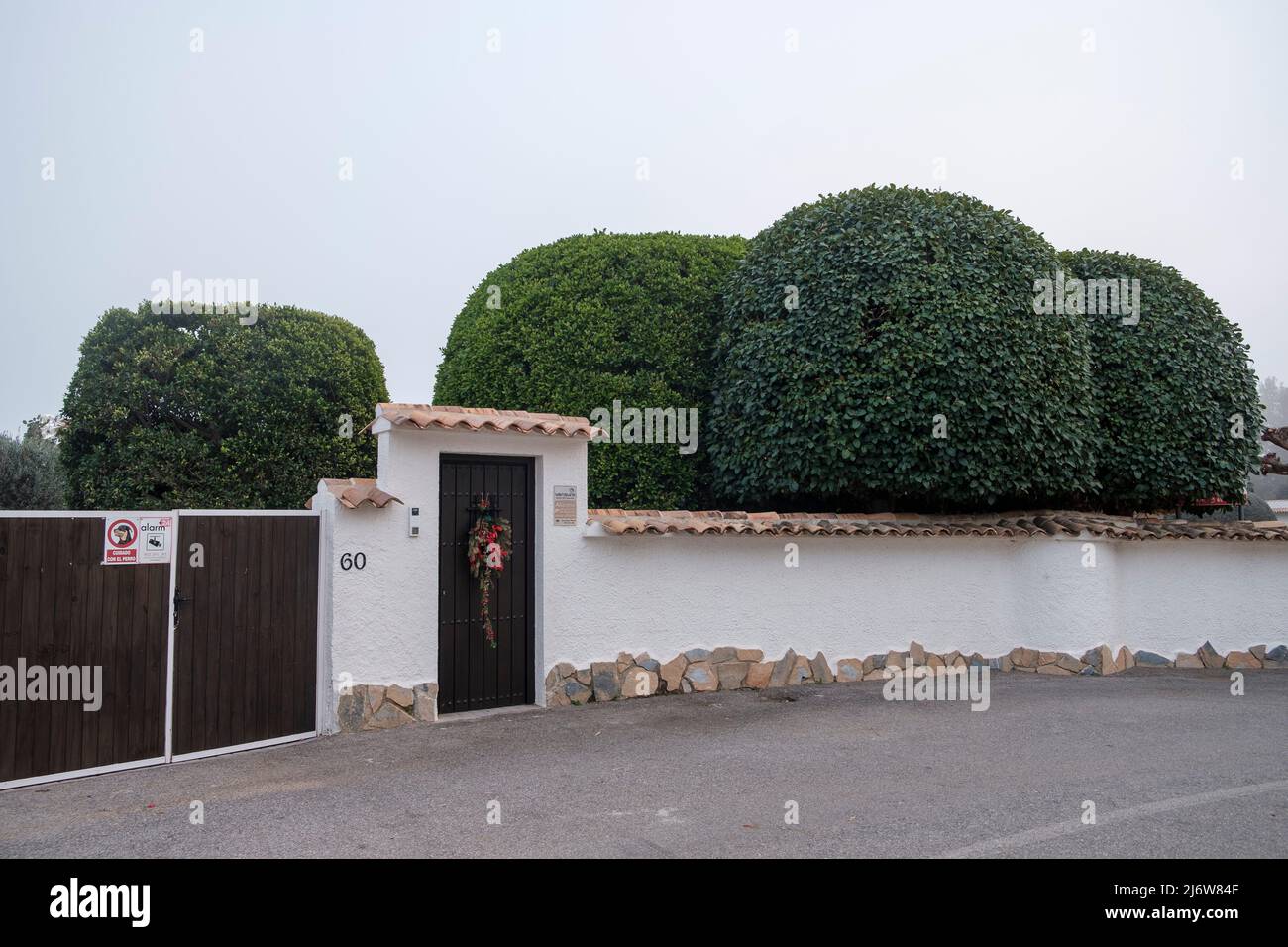 Landschaftsbäume im Garten in Altea, Provinz Alicante, Spanien. Stockfoto