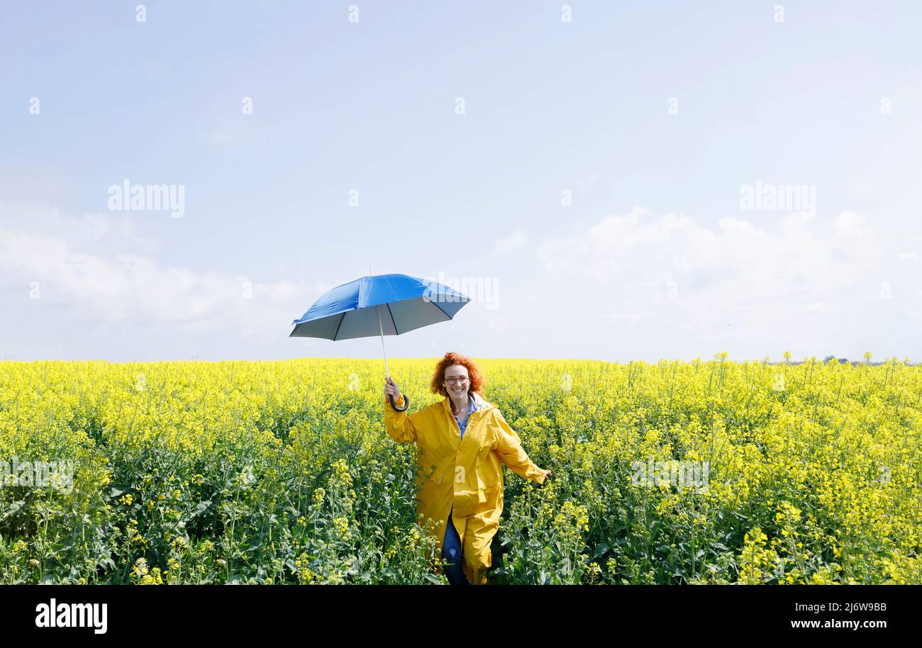 Eine Frau mit einem Regenschirm, die an einem schönen Sommertag durch ein gelbes Feld läuft Stockfoto