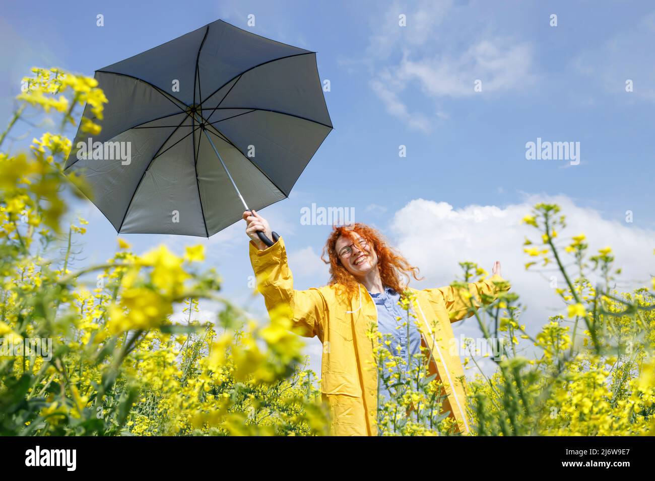 Junge Frau mit dem blauen Regenschirm, die Spaß hat und ihren Tag in einem Feld von gelben Blumen genießt Stockfoto