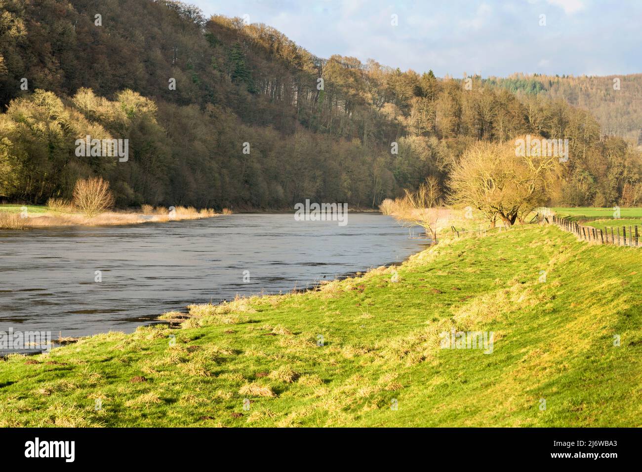 Weser bei Gewissenruh, Wesertal, Weserbergland, Hessen, Deutschland Stockfoto