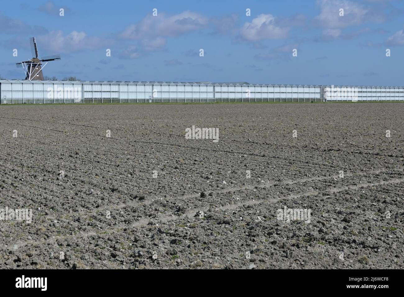 NIEDERLANDE, Frisia, Ackerland, Grünhaus und alte Windmühle / NIEDERLANDE, Friesland, Acker, Gewächshäuser und alte Windmühle auf einem Bauernhof Stockfoto