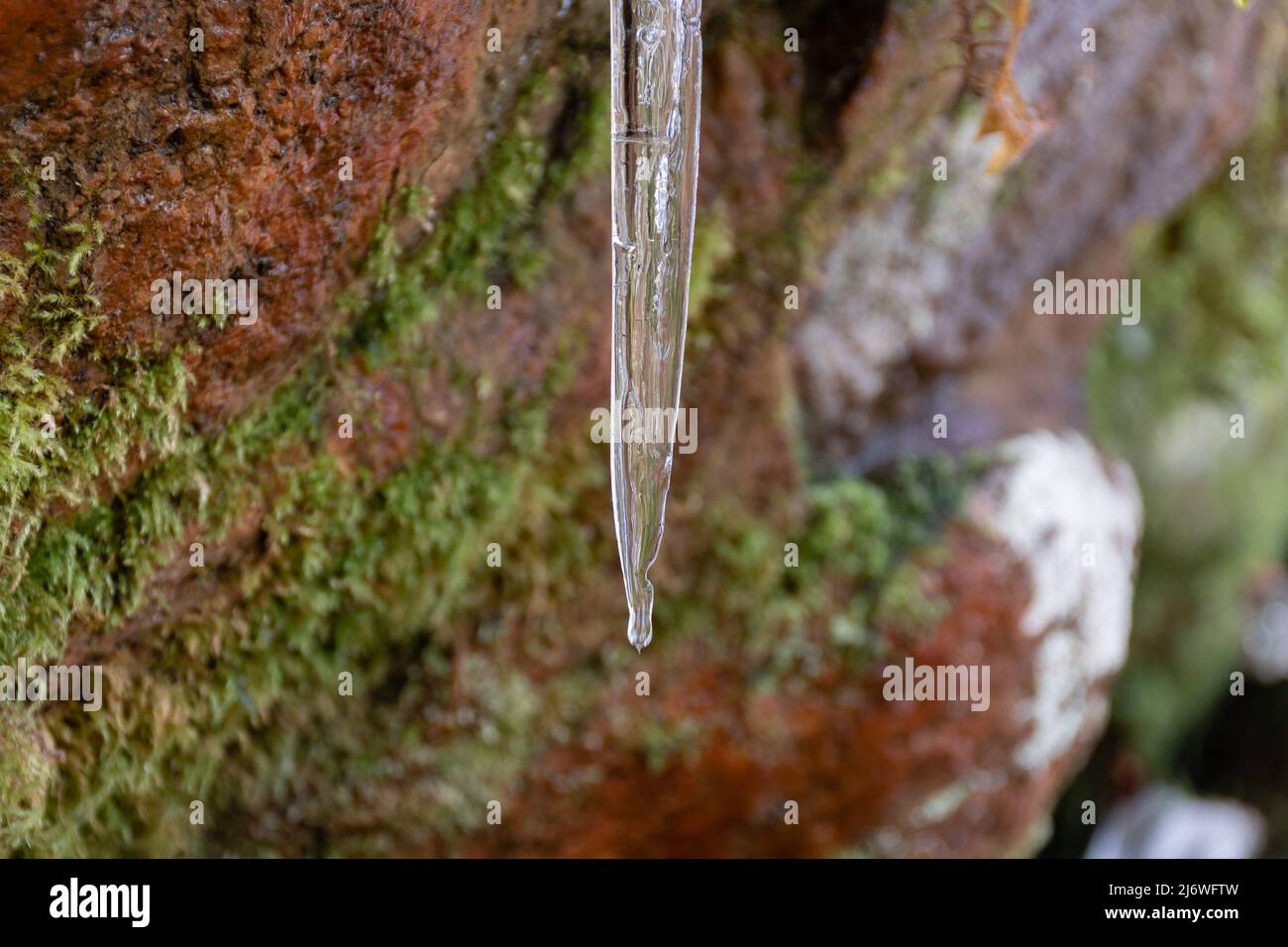 Nahaufnahme des schmelzenden Eiszapfes im Frühjahr mit unscharfem Hintergrund aus rotem Granitgestein. Stockfoto