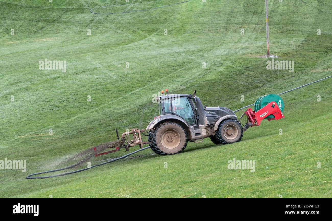 Verteilen von Gülle mit einem Valtra Traktor und einem Nabelsystem auf einer Wiese. Cumbria, Großbritannien. Stockfoto