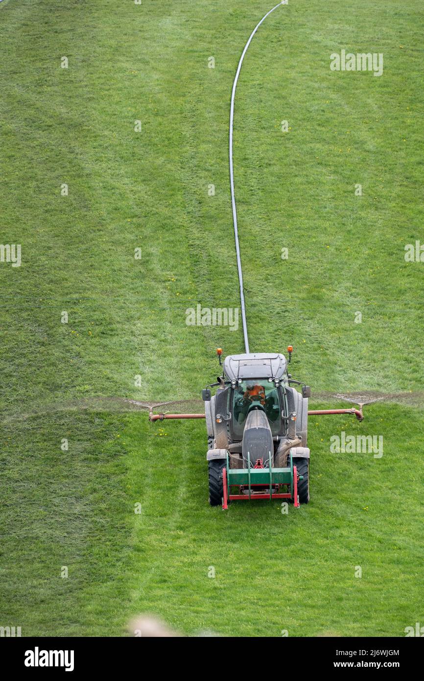Verteilen von Gülle mit einem Valtra Traktor und einem Nabelsystem auf einer Wiese. Cumbria, Großbritannien. Stockfoto