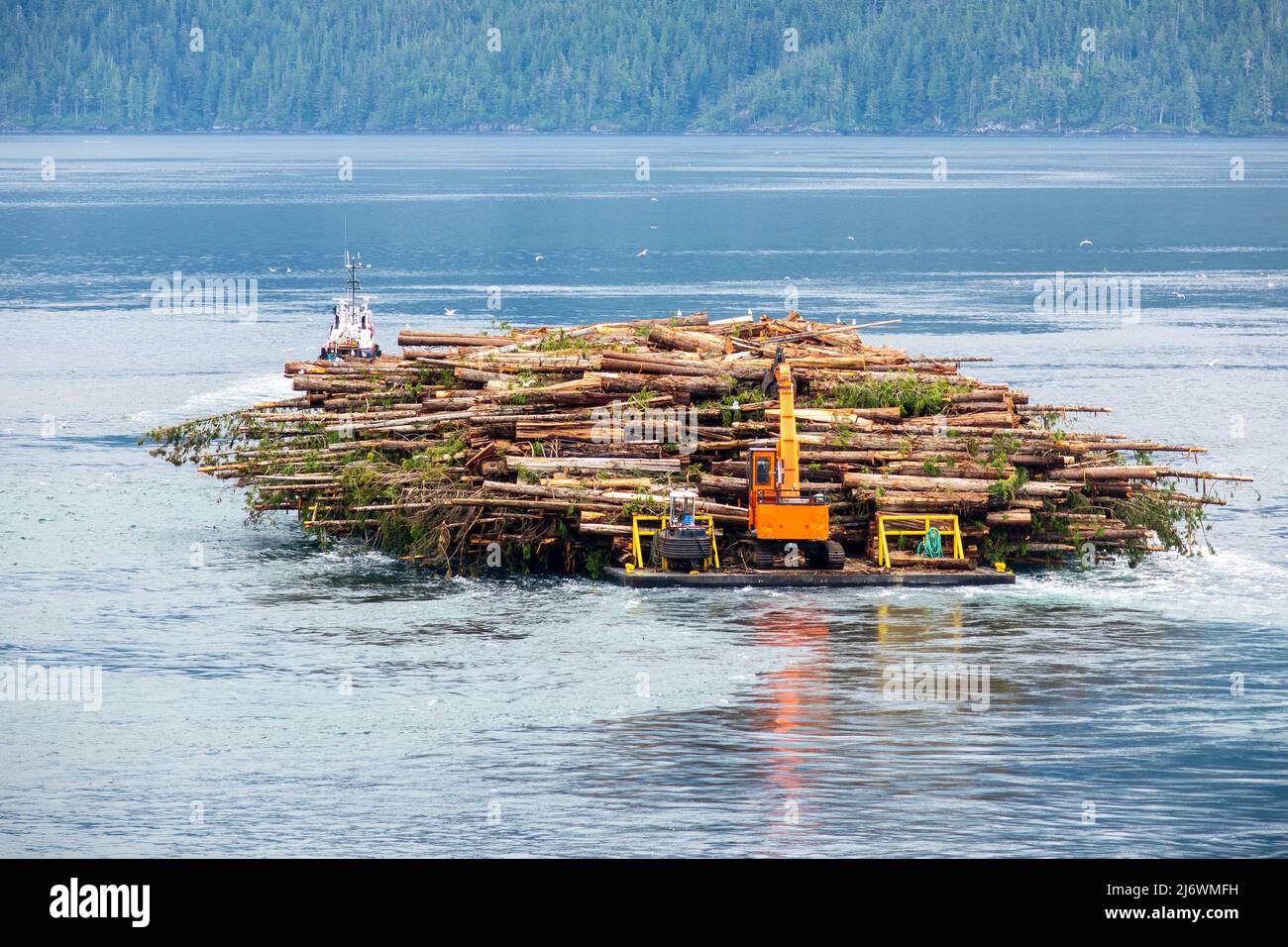 Holzfällerbarge Wird Auf Dem Inside Passge Alaska Geschleppt, Beladen Mit Schnittholz Aus Kiefern Stockfoto