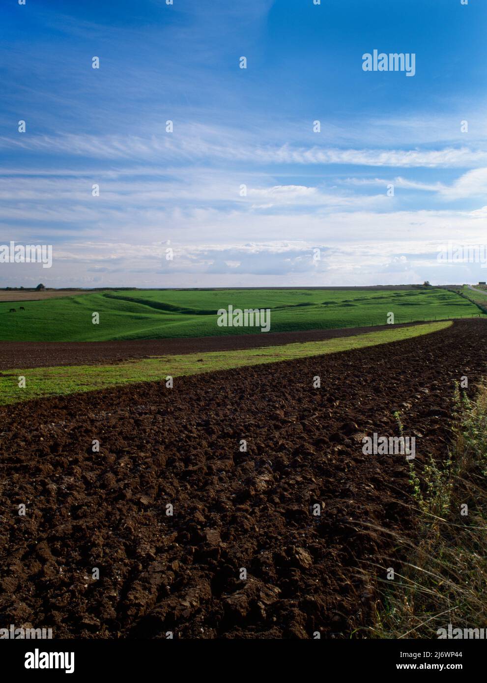 Blick südwestlich des Grabens und der Bank am N-Ende des Casterley Camp Eisenzeit 'Hillfort', Upavon, Wiltshire; England, Großbritannien: Ein verteidigtes keltisches religiöses Heiligtum. Stockfoto