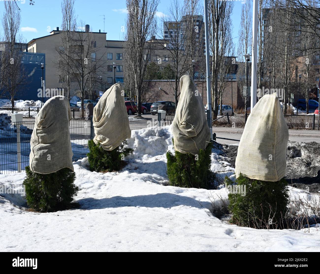 Pflanzen in der Stadt mit Tüten für den Winter bedeckt Stockfoto