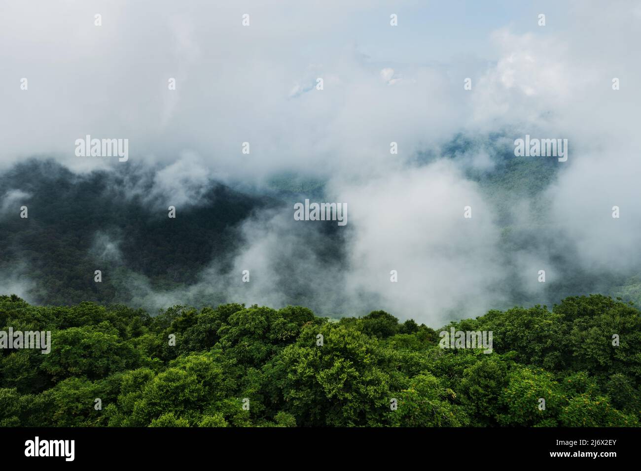 Shenandoah National Park, Virginia, Usa Stockfoto