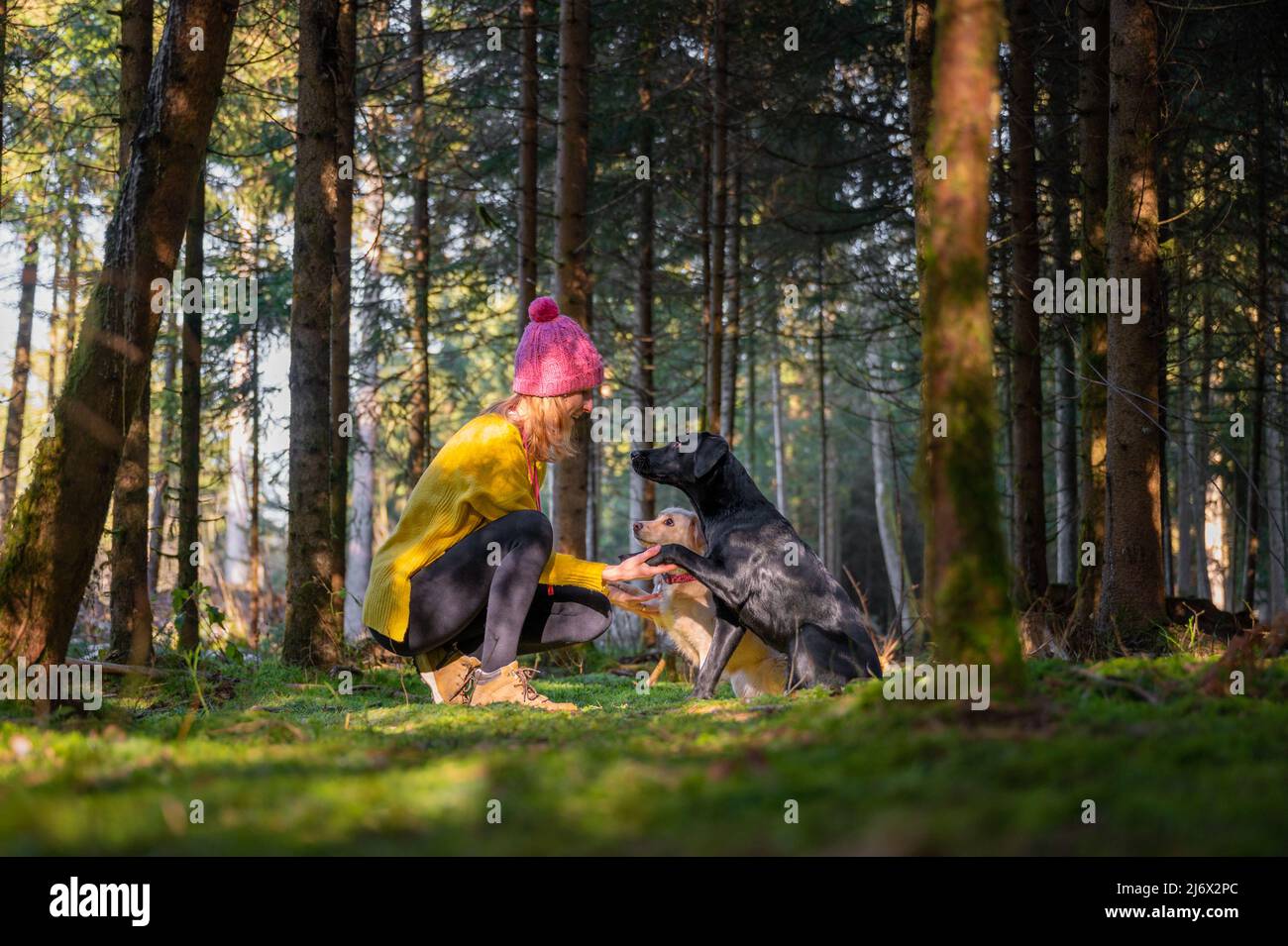 Schönes Bild der Freundschaft zwischen Mensch und Hund - junge Frau in leuchtend gelben Pullover kniet sich mit ihren beiden Hunden ihre Pfoten in ihr h Stockfoto