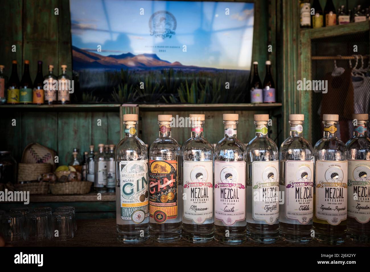 Gracias a dios mezcal, mezcaleria in Oaxaca, Mexiko Stockfoto