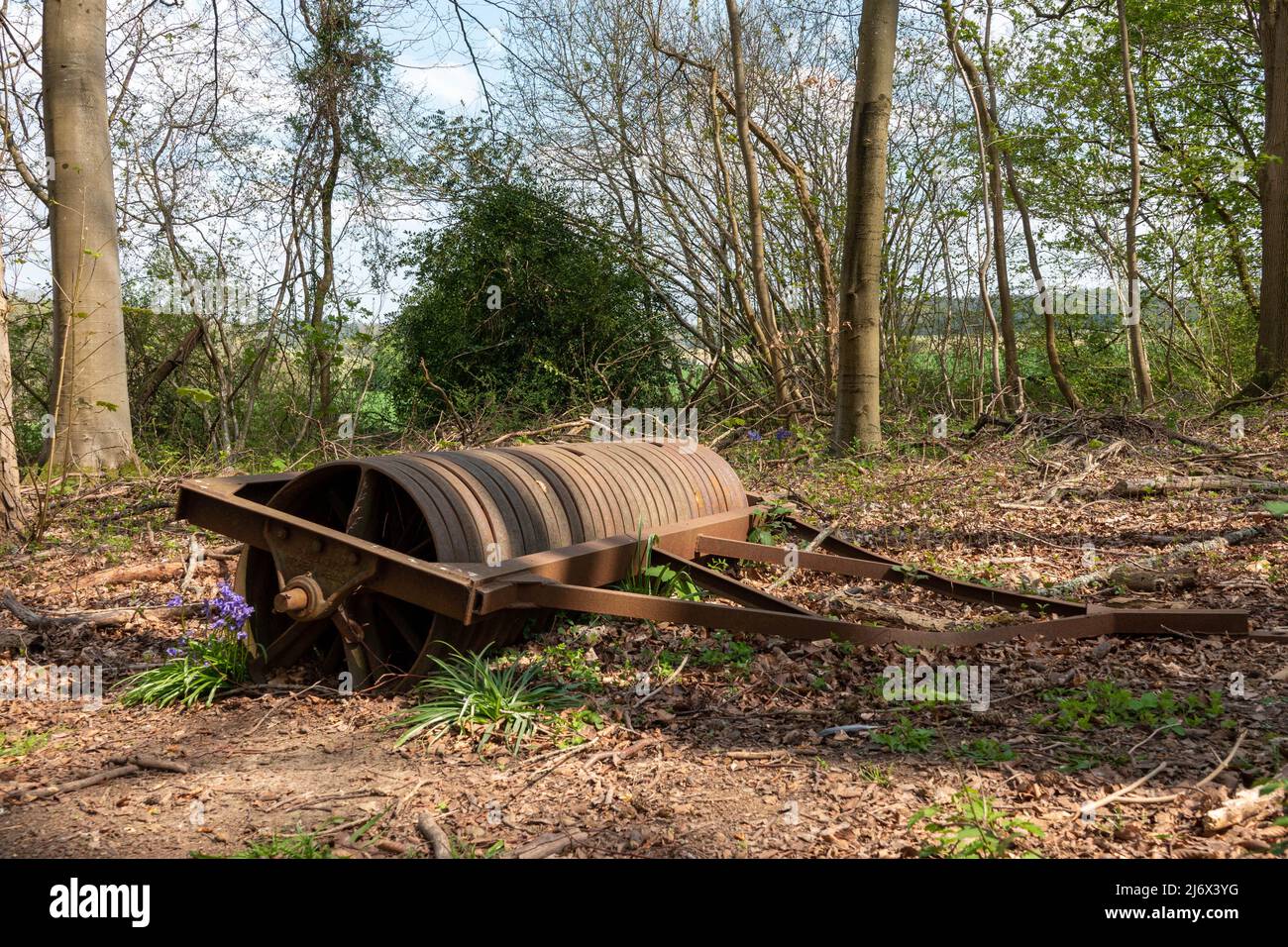 Alte Landfeldwalze ein landwirtschaftliches Werkzeug, das verwendet wurde, um im Wald verlassene Flächen zu glätten Stockfoto