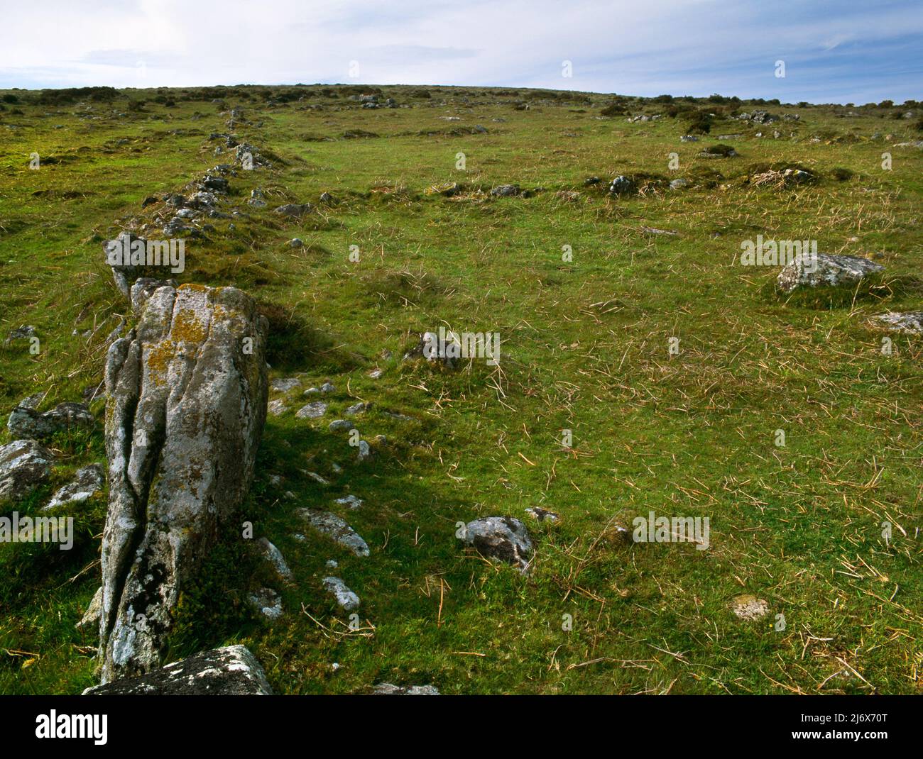 Sehen Sie NNW von Foales Arrishes Bronzezeitliches Siedlungs- und Feldsystem SE von Pil Tor, Dartmoor, Devon, England, Großbritannien: Terrassenförmige rechteckige 'koaxiale' Felder. Stockfoto