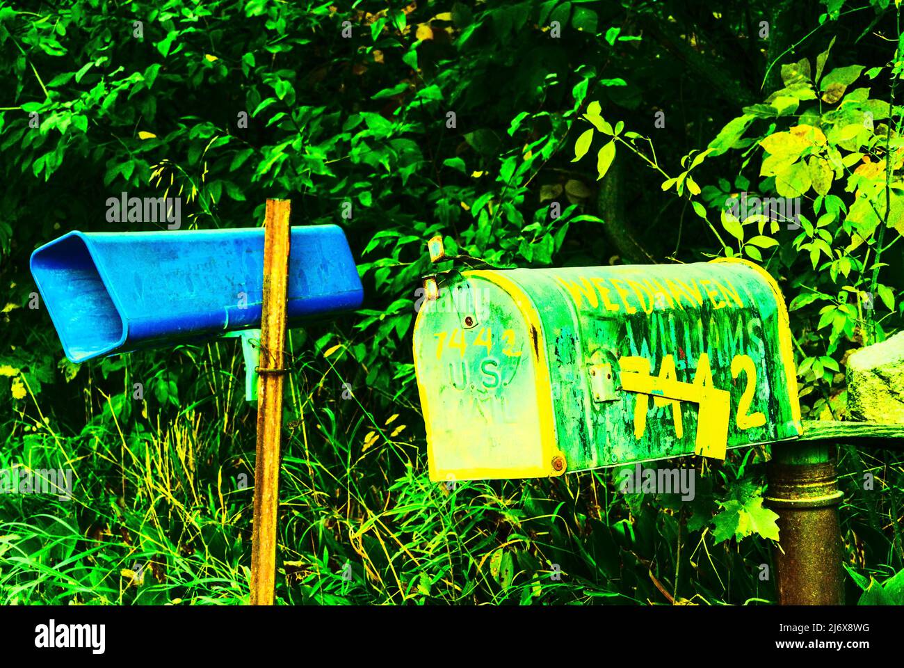 Briefkasten am Straßenrand mit dem Wort, auf dem weedhaven geschrieben wurde und Zeitungskasten in der Nähe von Ludington in Mason County, Michigan, USA. Stockfoto