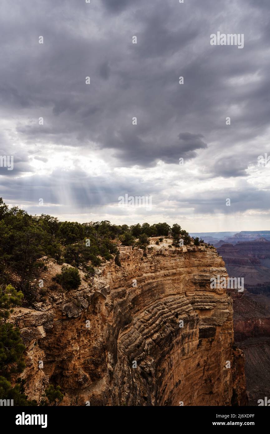 Blick vom Grand Canyon Rim Trail Stockfoto