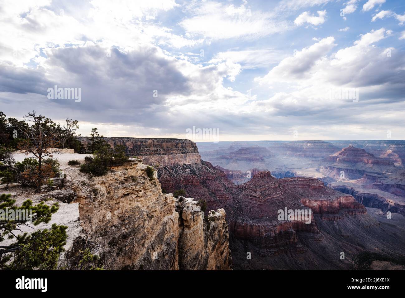 Blick vom Grand Canyon Rim Trail Stockfoto