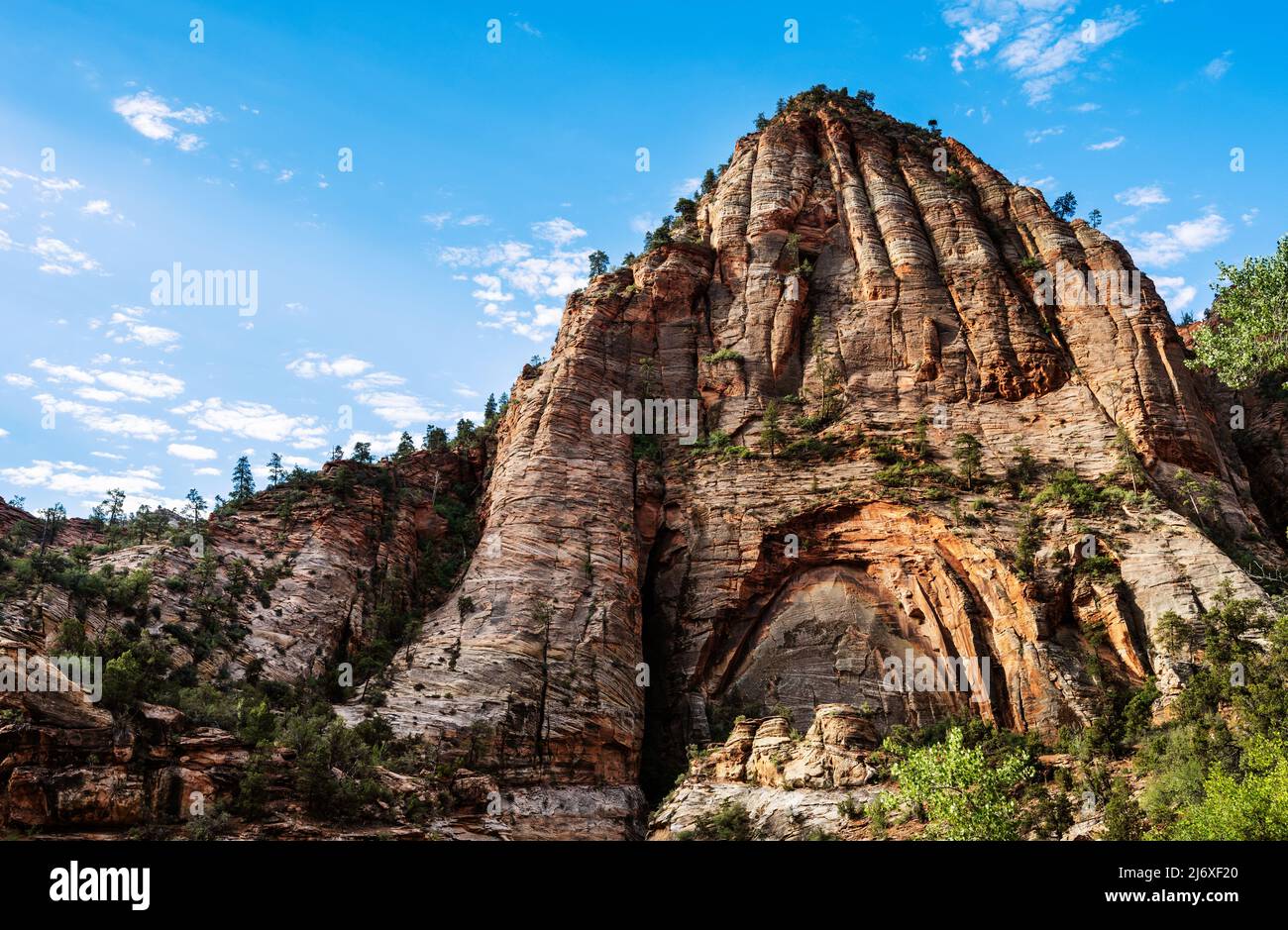Blick vom Zion Canyon Overlook Trail, Zion National Park, Utah Stockfoto