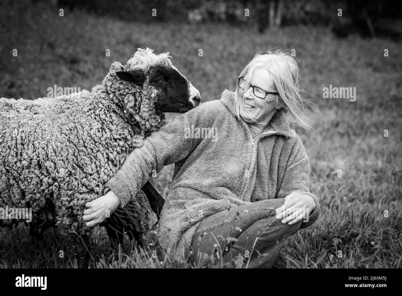 Niedliche Schafe und Bauern, Streicheltiere, im Freien in der Natur. Stockfoto