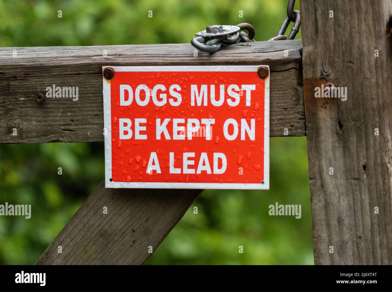 Rot-weißes Schild am Gate, das besagt, dass Hunde an der Leine geführt werden müssen. Stockfoto