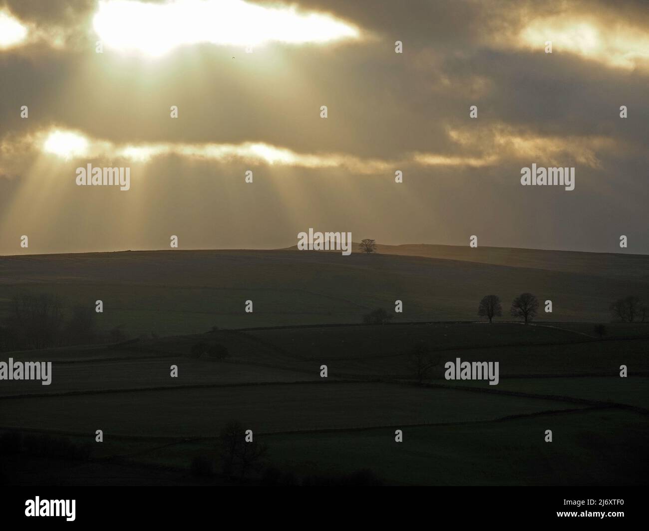 Ein Wolkenbruch erzeugt einen dramatischen Abendhimmel über dem Crosby Ravensworth Fell mit silhouettierten Winterbäumen - Cumbria, England, Großbritannien Stockfoto