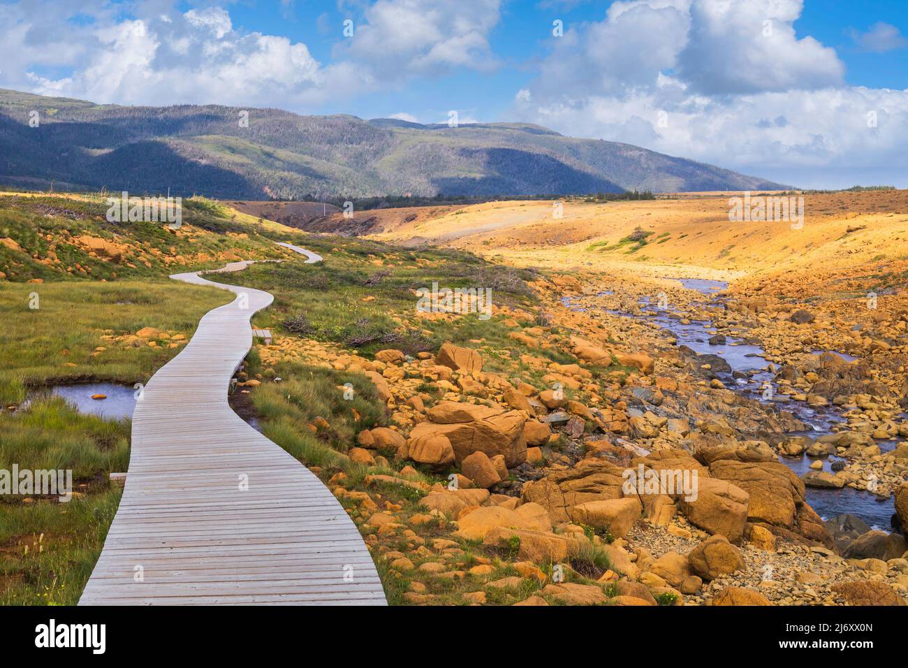 Boardwalk auf tableland Trail, Gros Morne National Park, Neufundland und Labrador, Kanada Stockfoto