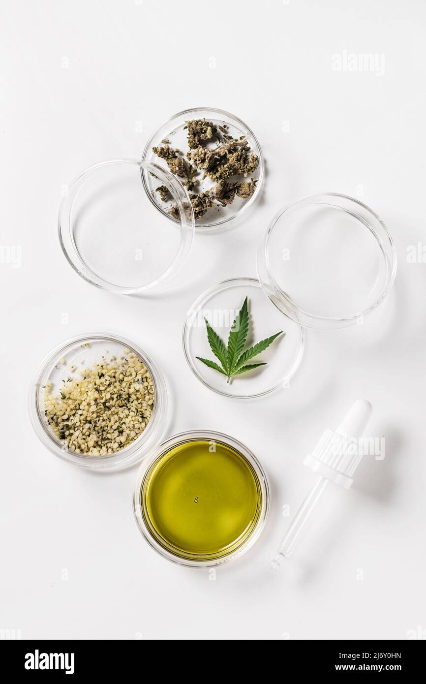 Abstraktes kosmetisches Labor in der Cannabisforschung. Naturkosmetik oder Superfood. Zunehmend legale und medizinische Verwendung von Marihuana. Draufsicht Stockfoto