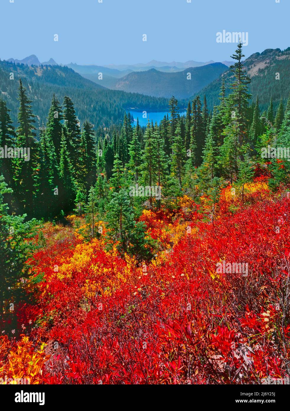 Huckleberry Fields und Dewey Lake, Mt. Rainier National Park, Washington Stockfoto