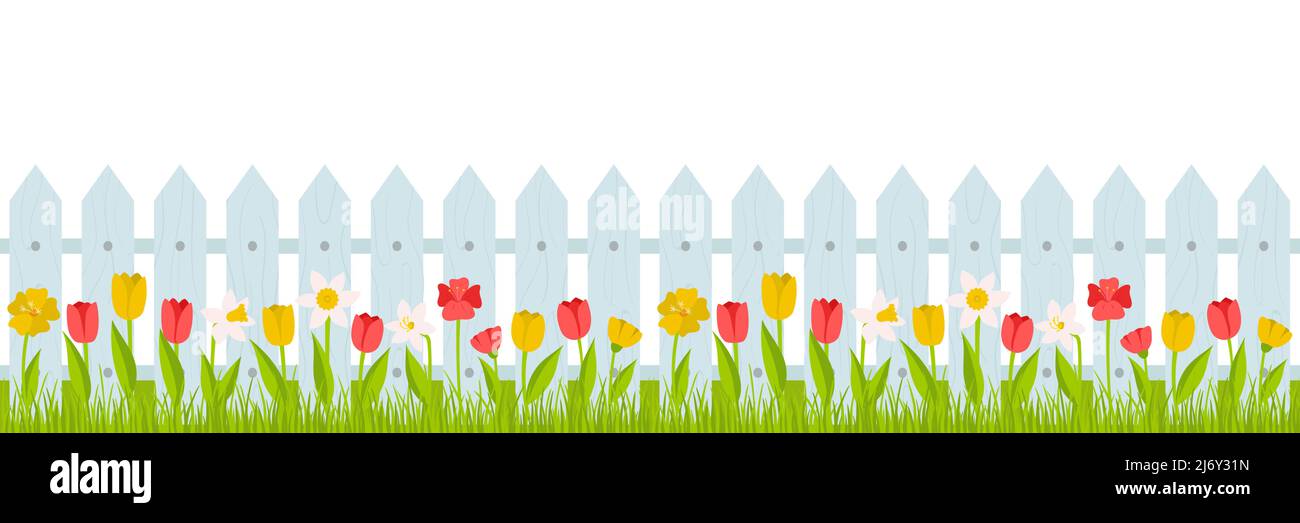 Nahtloser horizontaler Rand. Rasengras mit roten, gelben Tulpen und Narzissen und einem Zaun. Sommer, Frühling Illustration im Cartoon-Stil. Vektor in einem fl Stock Vektor