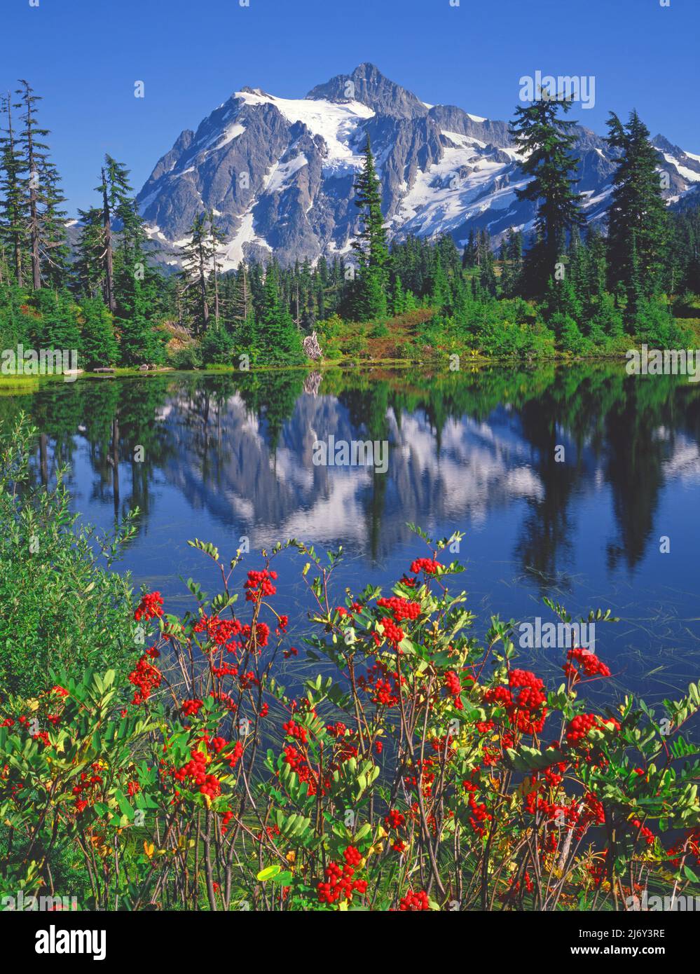 Mt. Shuksan im North Cascade National Park, Washington Stockfoto