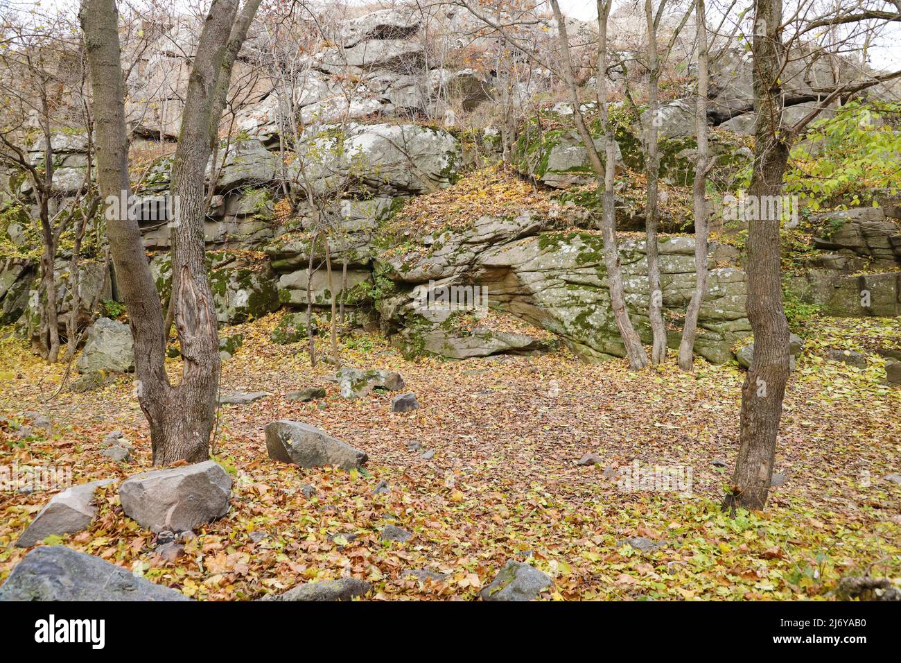 Granitfelsen des Bukski Canyon im Herbst. Malerische Landschaft und schöner Ort des ukrainischen Tourismus Stockfoto