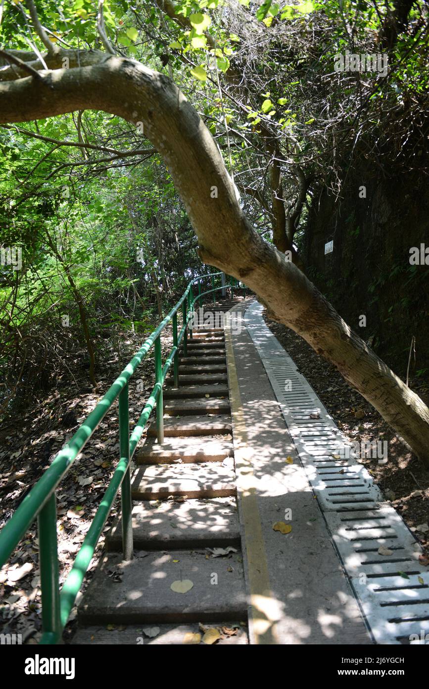 Wandern auf dem Familienspaziergang in Peng Chau, Hongkong. Stockfoto