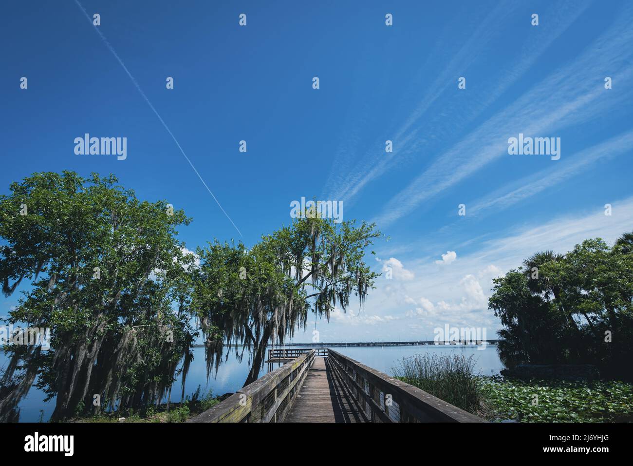 Lake Jesup in Winter Springs in Seminole County, Florida Stockfoto