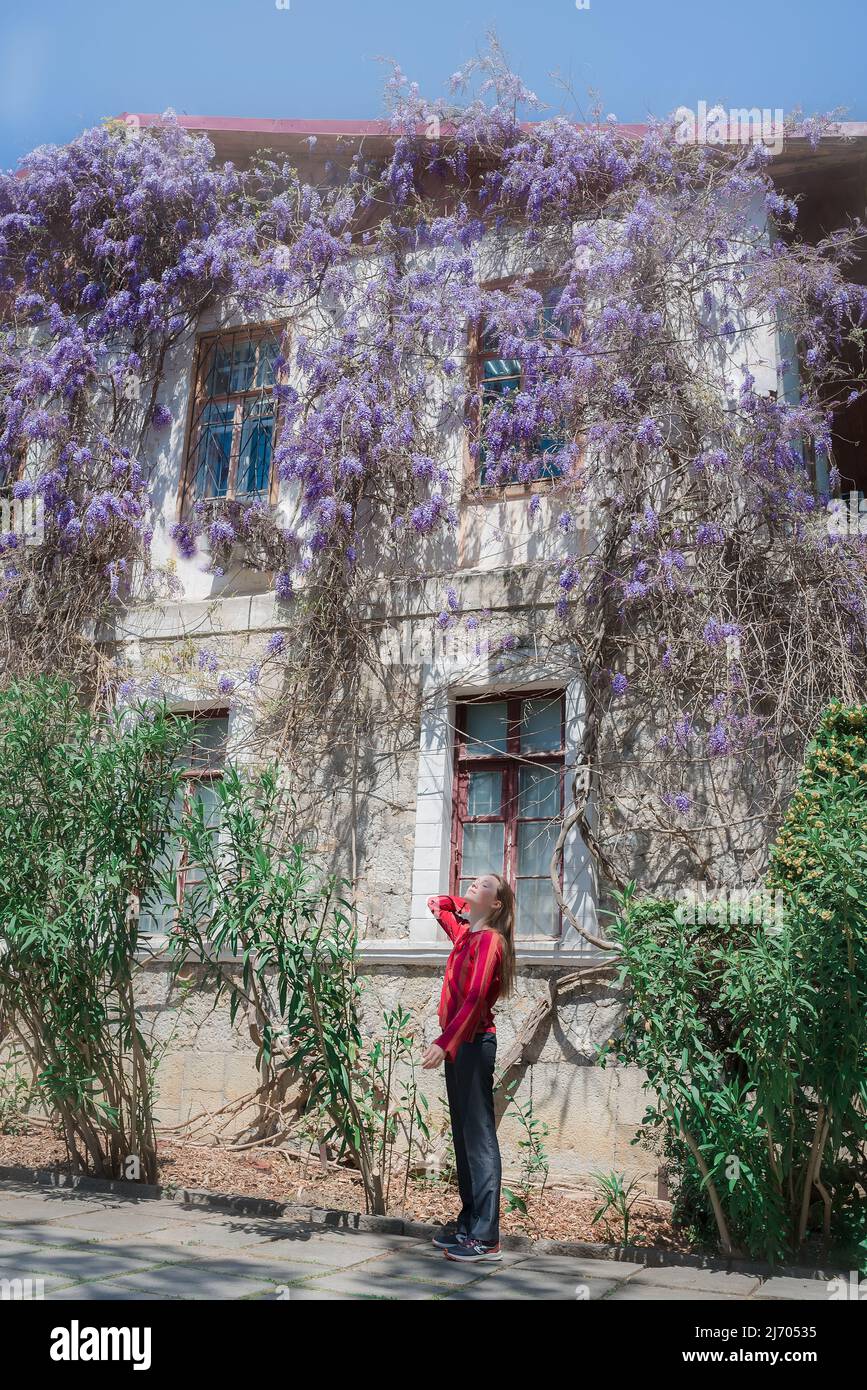 Die hübsche junge Frau steht neben der Glyzinie. Mädchen genießen Frühling Zeit. Outfit für den Frühling. Stockfoto